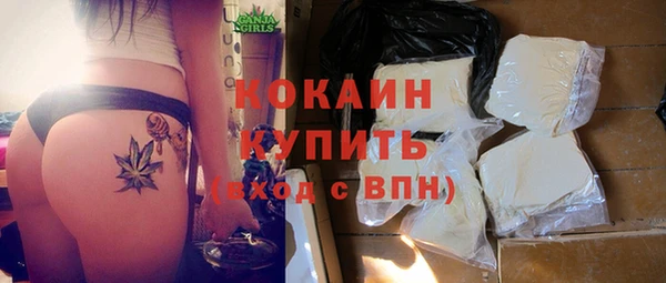 молекула духа Лихославль