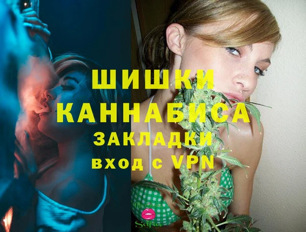 молекула духа Лихославль