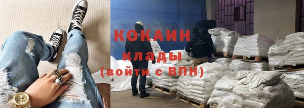 прущие грибы Лиски