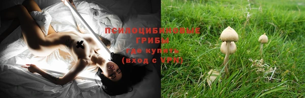 прущие грибы Лиски