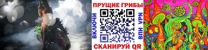 Галлюциногенные грибы прущие грибы  Купить  Печоры 